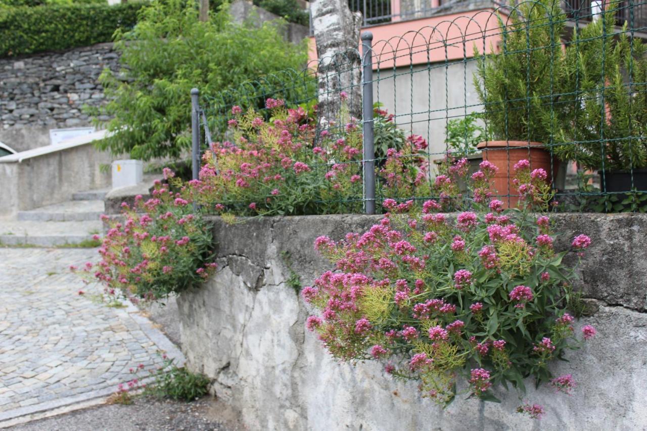 Apartment Vista Legnone Dubino Exterior photo